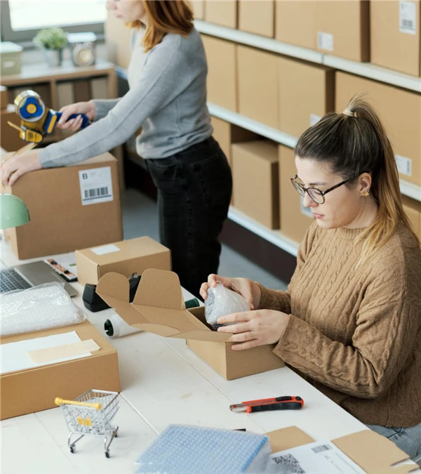 E-commerce Watch Sellers-1